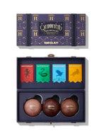 Conjunto de Batons Campeão de Quadribol 3 Peças Harry Potter